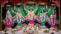 Daily Darshan