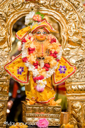 Daily Darshan