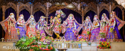 Daily Darshan