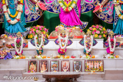 Daily Darshan