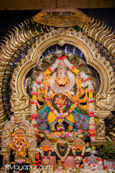 Daily Darshan
