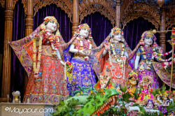 Daily Darshan