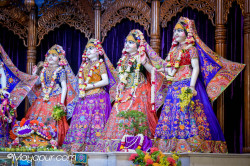 Daily Darshan