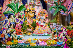 Daily Darshan