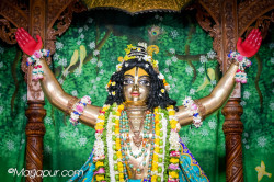Daily Darshan