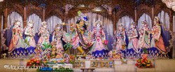 Daily Darshan