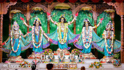 Daily Darshan