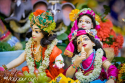 Daily Darshan