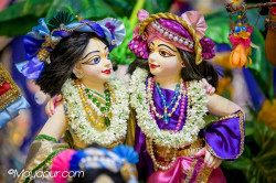 Daily Darshan