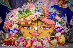 Daily Darshan