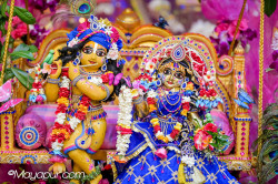 Daily Darshan