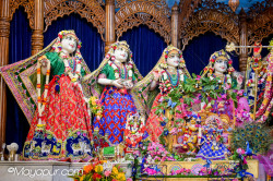 Daily Darshan