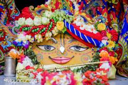 Daily Darshan