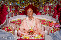 Daily Darshan