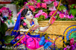 Daily Darshan