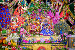 Daily Darshan