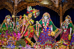 Daily Darshan