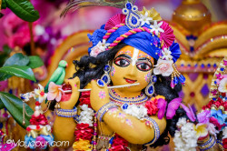 Daily Darshan
