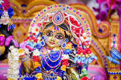 Daily Darshan