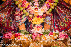 Daily Darshan
