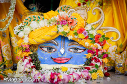 Daily Darshan