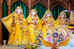 Daily Darshan