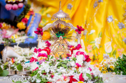 Daily Darshan