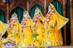 Daily Darshan