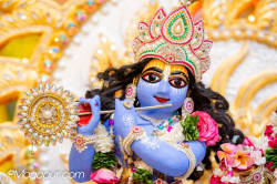 Daily Darshan