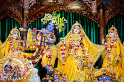 Daily Darshan