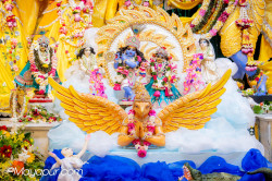 Daily Darshan