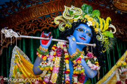 Daily Darshan