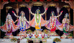 Daily Darshan
