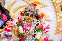 Daily Darshan