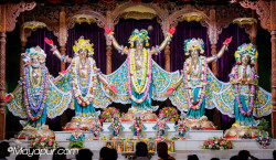 Daily Darshan