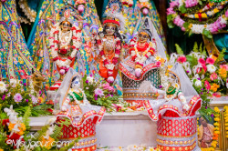 Daily Darshan