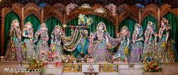 Daily Darshan