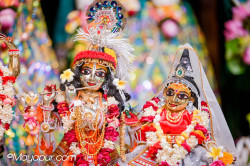 Daily Darshan