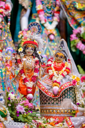 Daily Darshan