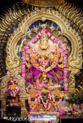 Daily Darshan