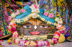 Daily Darshan