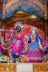 Daily Darshan
