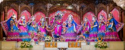Daily Darshan