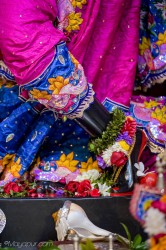 Daily Darshan