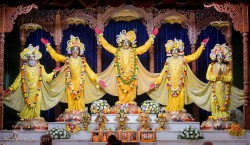 Daily Darshan