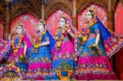 Daily Darshan