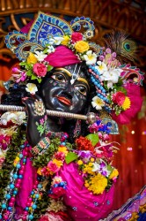 Daily Darshan