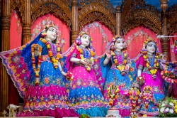 Daily Darshan