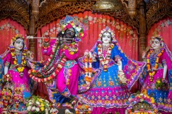 Daily Darshan