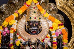 Daily Darshan